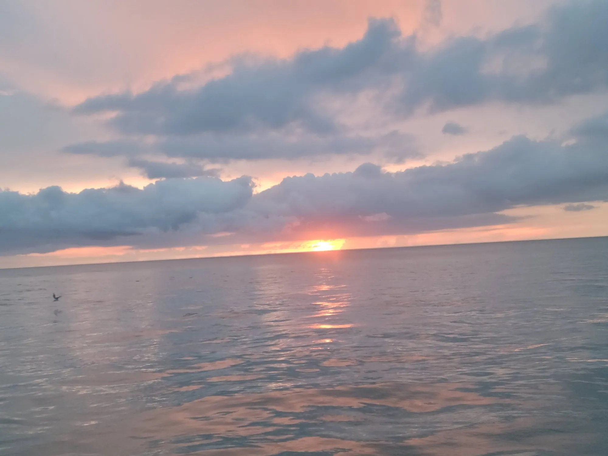 Sun setting on the horizon under soft pink clouds over the Gulf